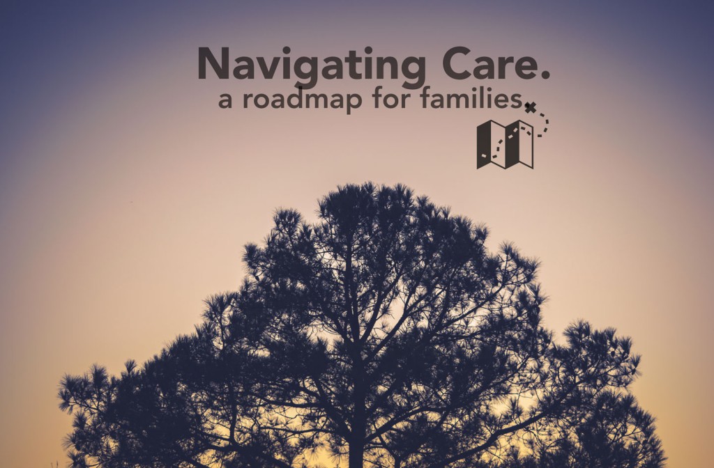 NAVIGATINGCARE TITLEPAGE 1024×672