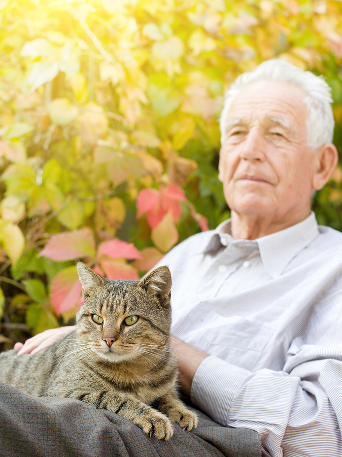 Elderly Care Simpsonville SC – Can A Beloved Cat Come Along To Assisted Living?