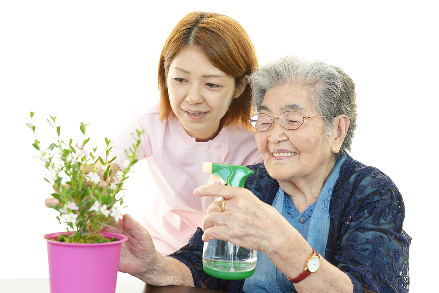 Senior Care Five Forks SC – Windowsill Gardening Can Be More Than Enough For A Senior