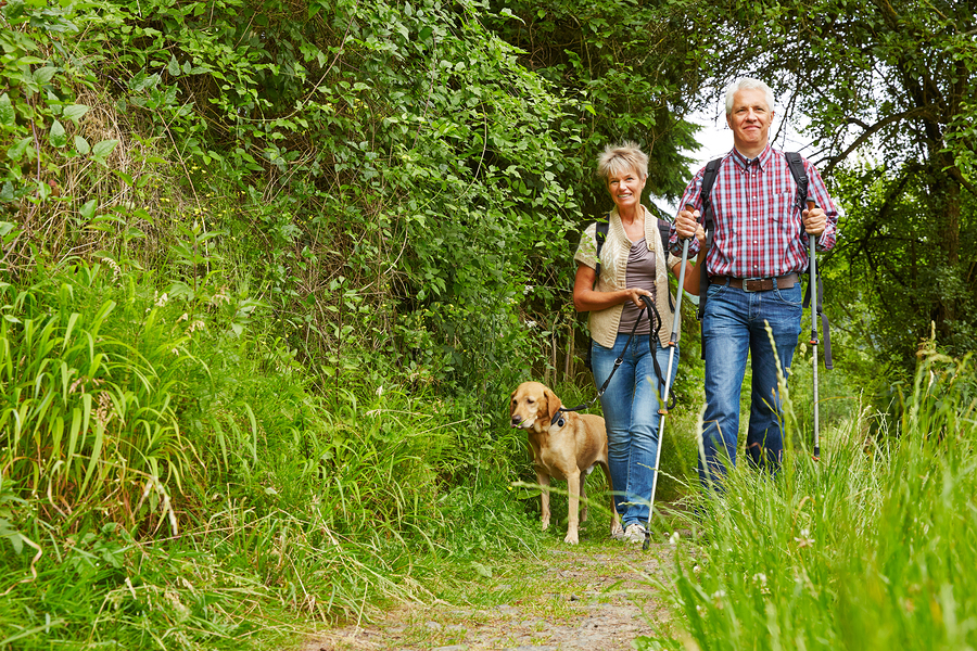 Senior Care Simpsonville SC – May Is National Walking Month